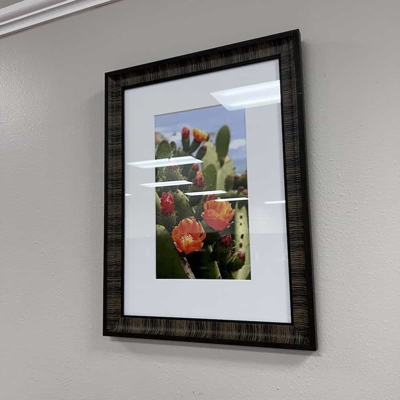18″ x 24″ Cactus Blooms Hotel Artwork Office Furniture Liquidations