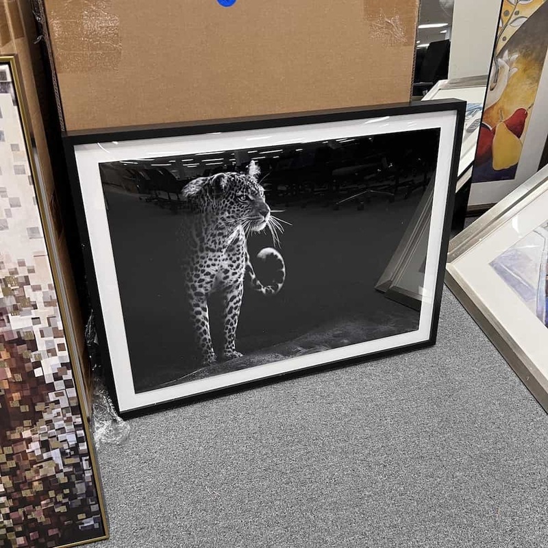 40″ x 30″ Black And White Leopard Cat Print Framed Artwork Office Furniture Liquidations