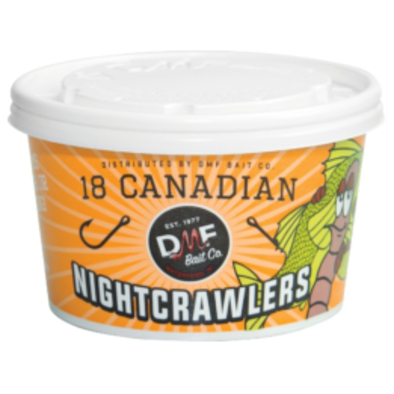 DMF Bait Nightcrawlers
