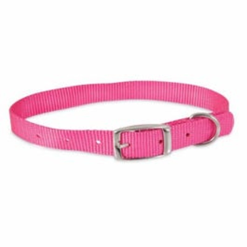 Adjustable Dog Collar, Hot Pink, 5/8 x 16-In.